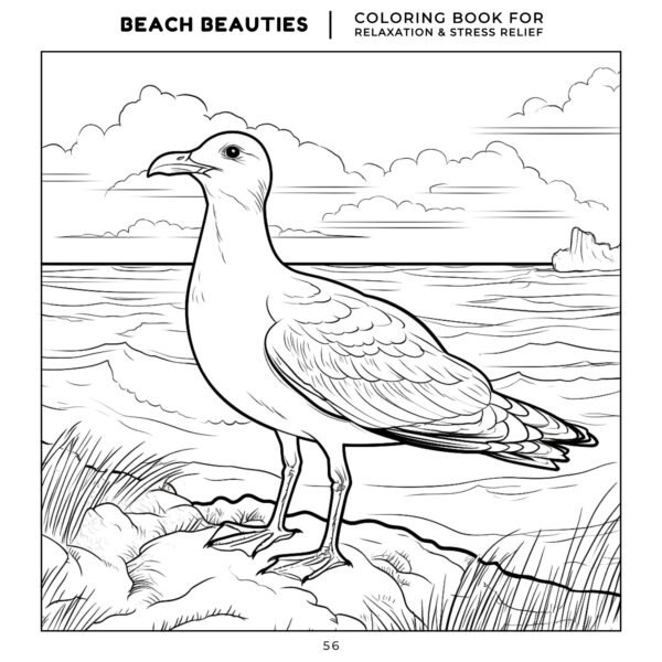 30 Coloring Pages, Beach Beauties Coloring Book For Relaxation and Stress Relief (3)