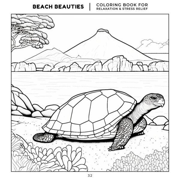 30 Coloring Pages, Beach Beauties Coloring Book For Relaxation and Stress Relief