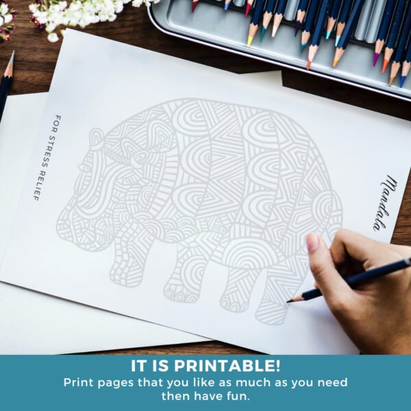 Animal Mandala Coloring Book (7)