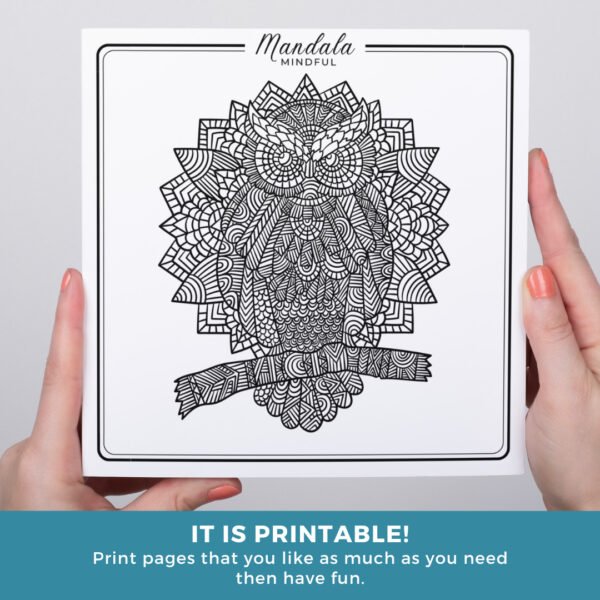 Cover Mandala Animal square (7)