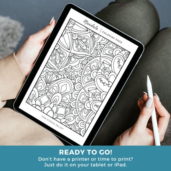 Mandala Intermediate Coloring Book Cover (10)