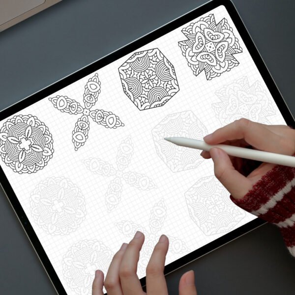 Mandala terracing Coloring Book Cover (10)